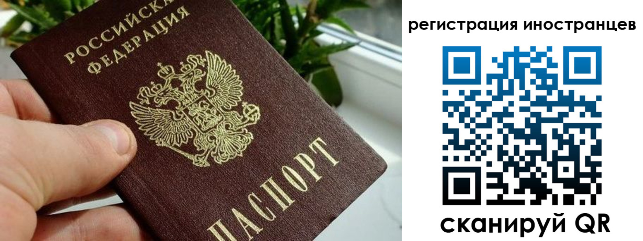 регистрация в Чайковском